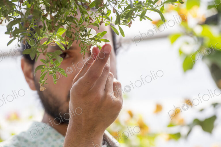 A man looking closely at plants in a hanging basket.