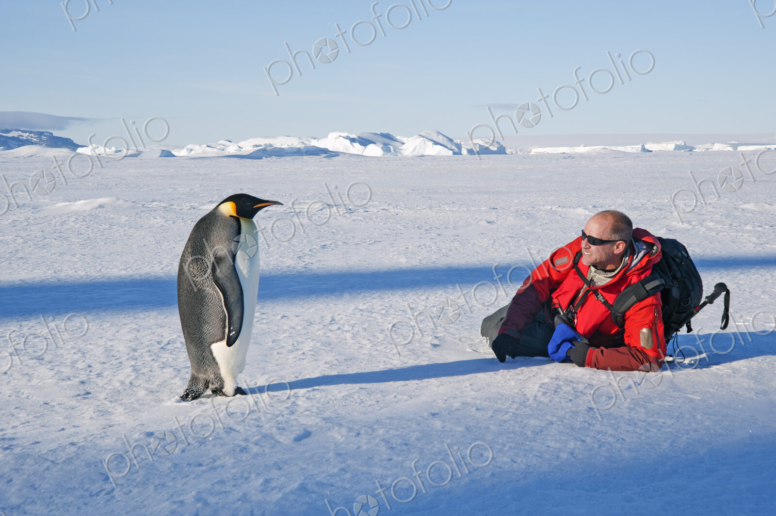 A man lying on his side on the ice, close to an emperor penguin standing motionless.