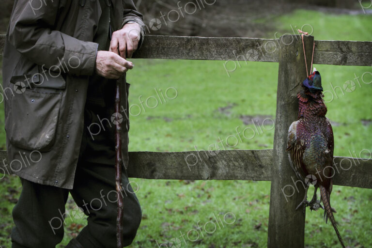 A man on a pheasant shoot, leaning against a fence holding a beater's thumbstick
