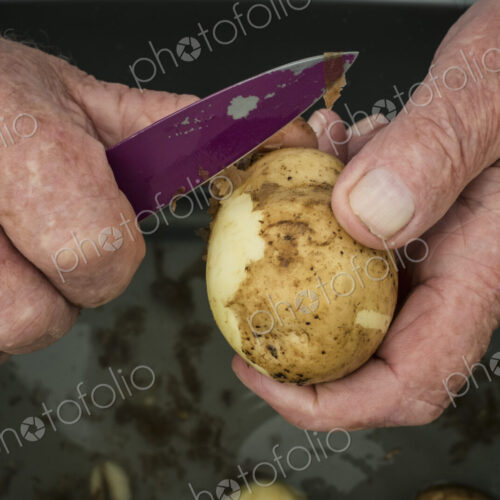 A man peeling a potato with a knife. A man peeling a potato with a knife.