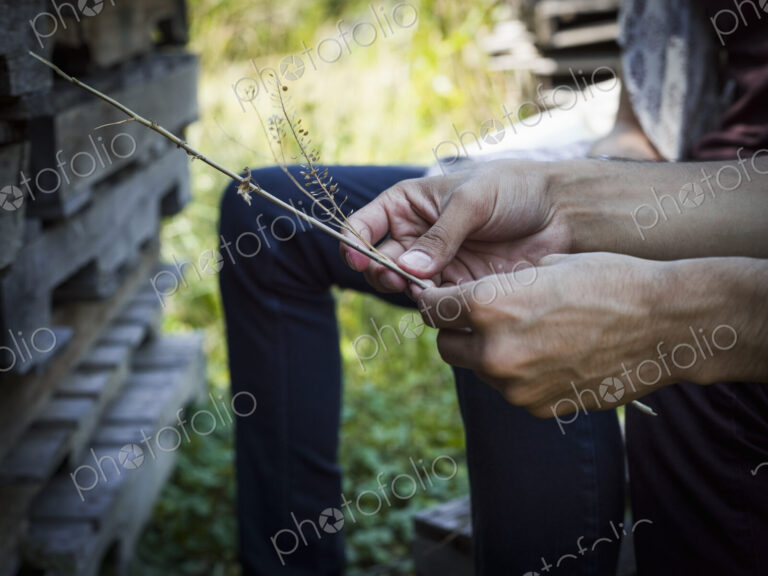 A man sitting in the shade holding a handful of plant stalks.