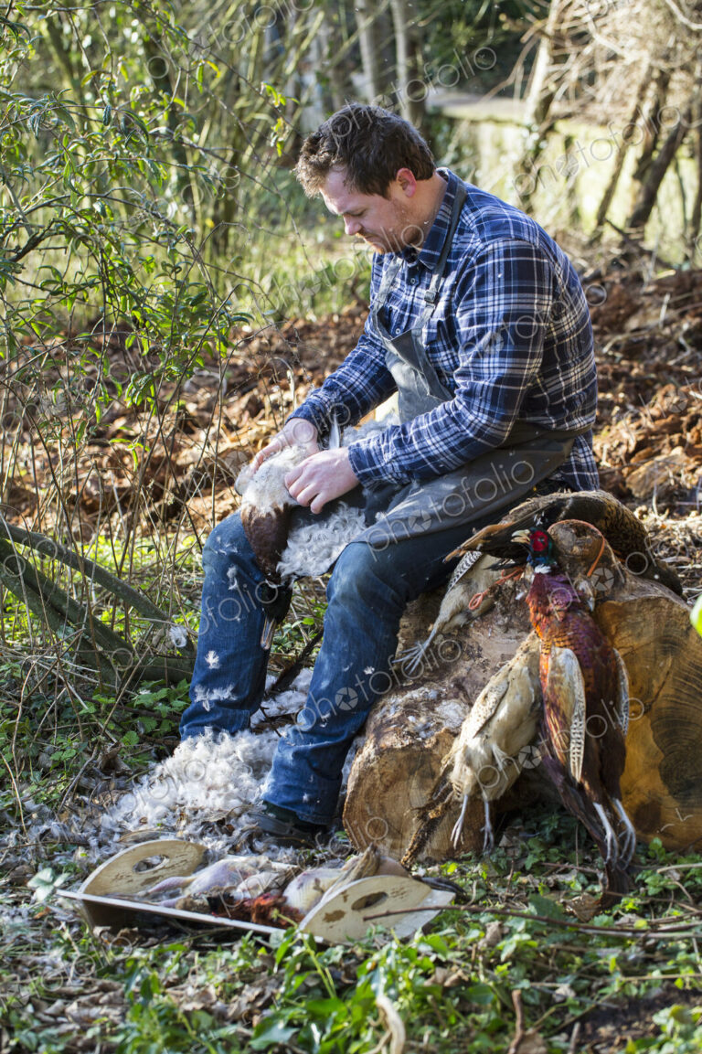 A man sitting on a tree stump plucking feathers from a game bird carcass.
