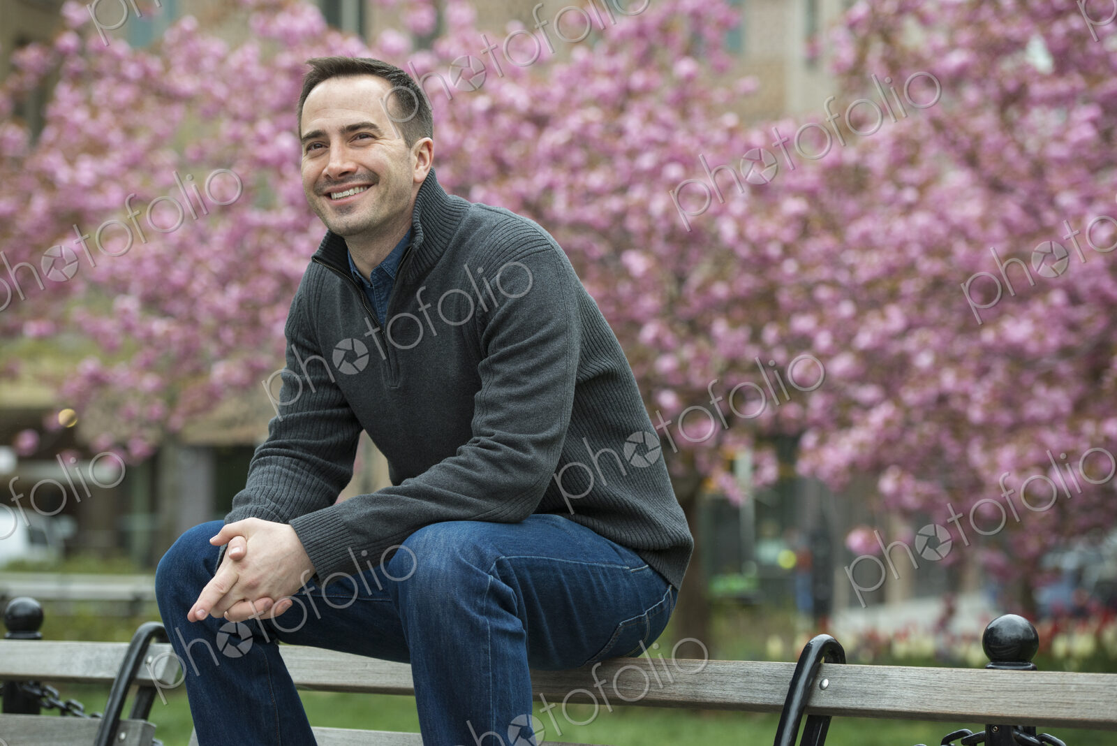 A man sitting on the back of a park bench, under the cherry blossom trees in the park.