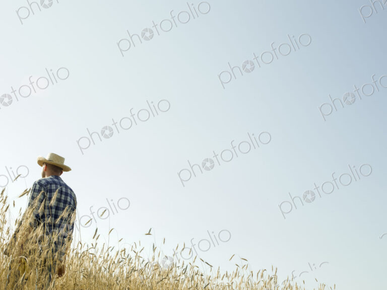 A man standing in a field of ripening wheat crop.