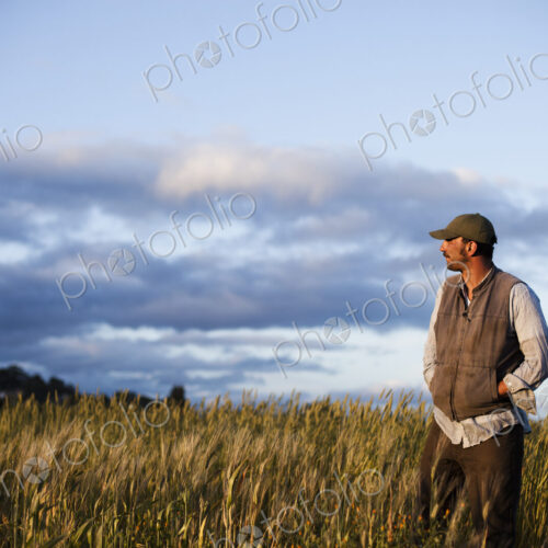 A man standing looking over the crops and fields at the Homeless Garden Project in… A man standing looking over the crops and fields at the Homeless Garden Project in…