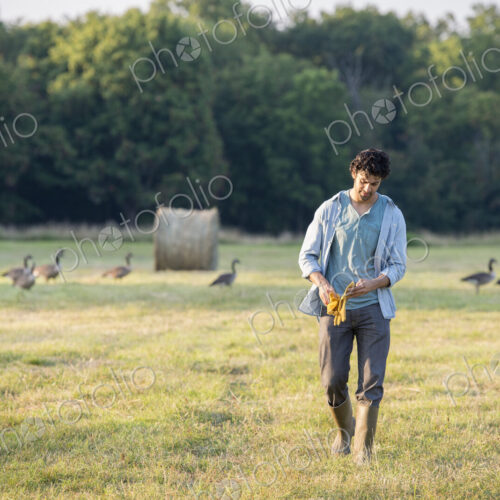 A man walking across a field, away from a flock of geese outdoors in the fresh air. A man walking across a field, away from a flock of geese outdoors in the fresh air.