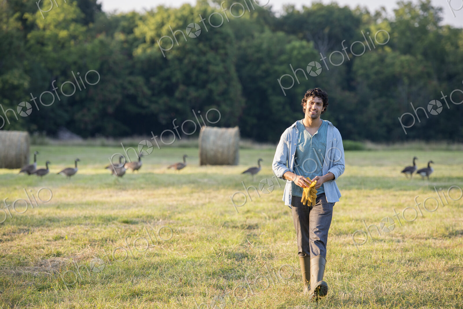 A man walking across a field, away from a flock of geese outdoors in the fresh air.