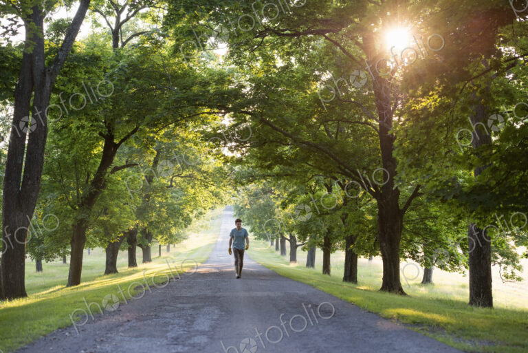 A man walking down a tree lined avenue in the countryside.