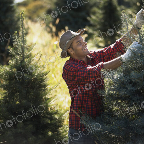 A man wearing a checked shirt and large brimmed hat in a plantation of organic… A man wearing a checked shirt and large brimmed hat in a plantation of organic…