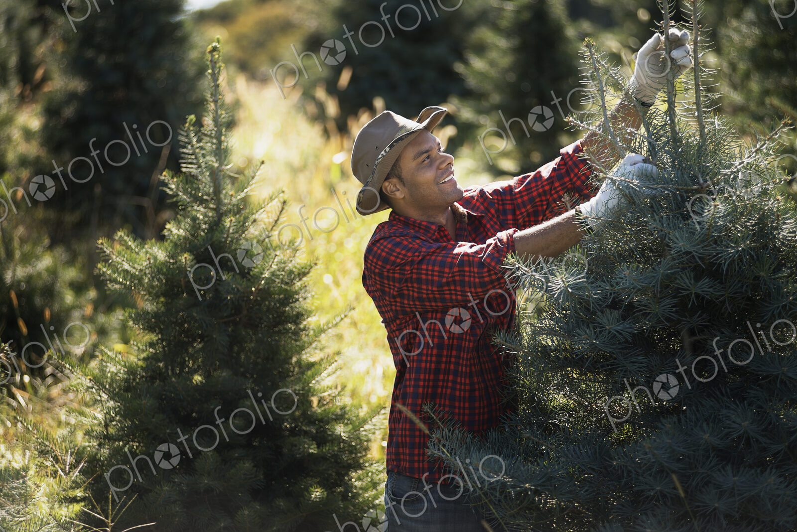 A man wearing a checked shirt and large brimmed hat in a plantation of organic…