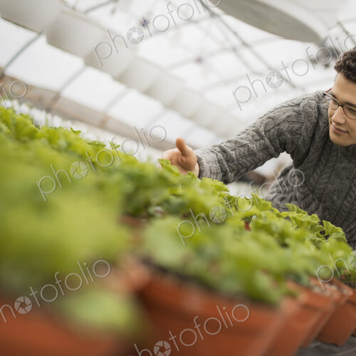 A man working in a greenhouse tending young plants in pots.