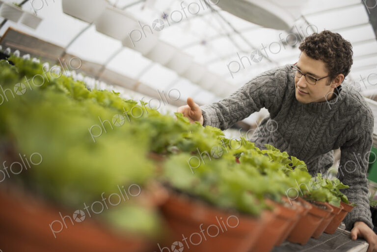 A man working in a greenhouse tending young plants in pots.