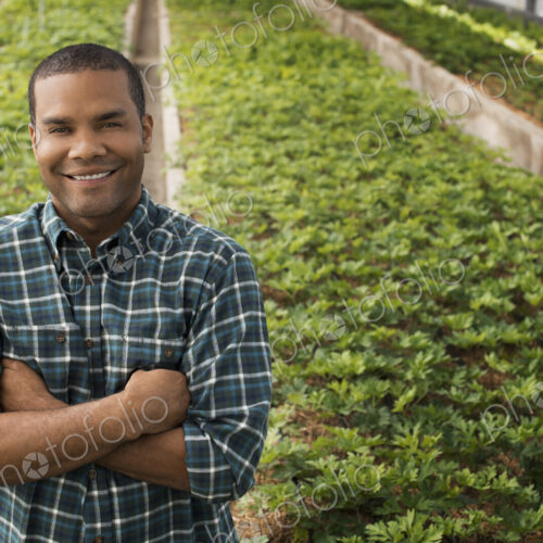 A man working in a large greenhouse, or glasshouse full of organic plants. A man working in a large greenhouse, or glasshouse full of organic plants.