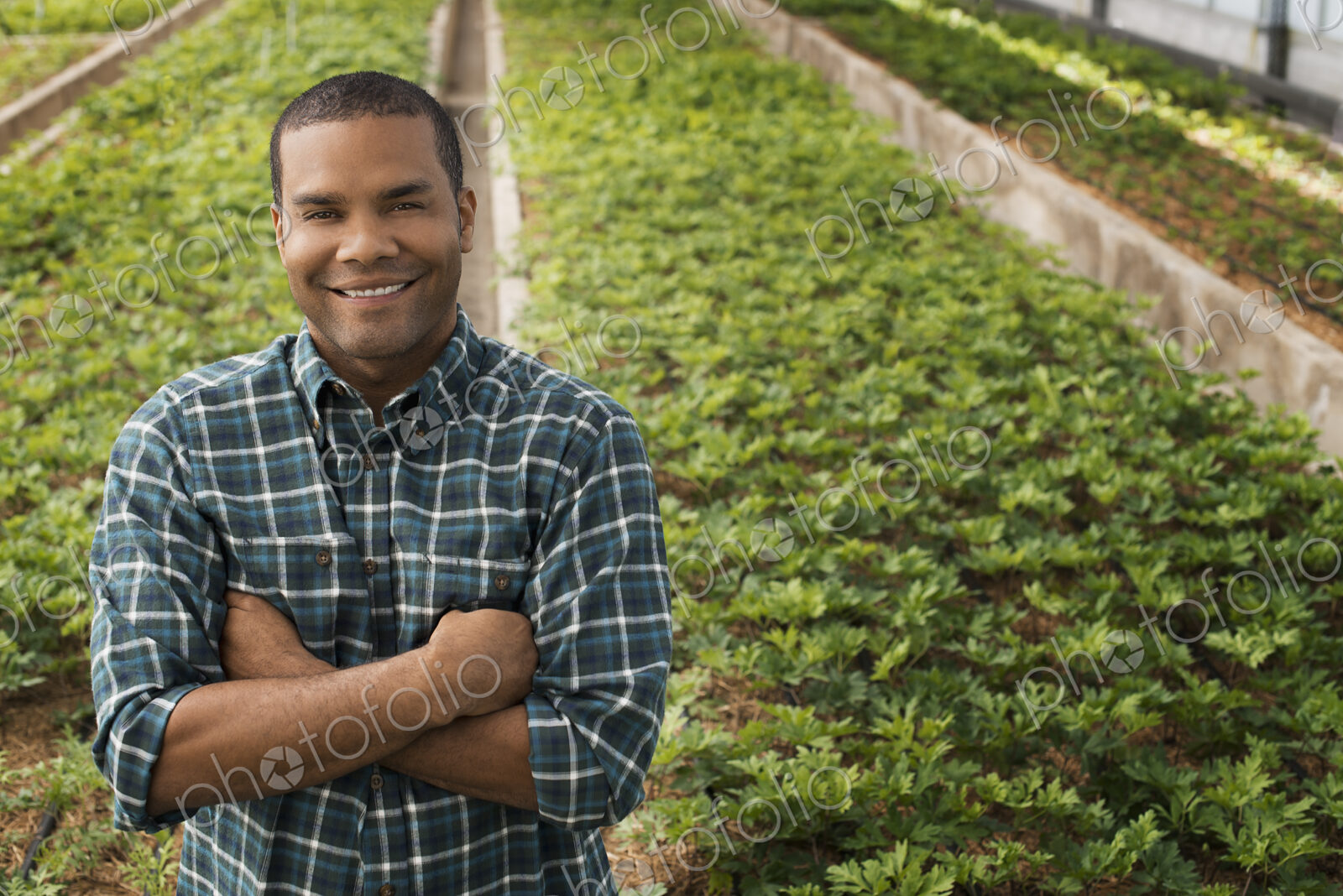 A man working in a large greenhouse, or glasshouse full of organic plants.