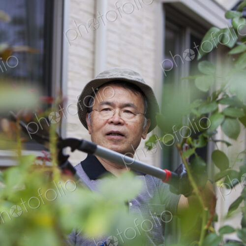 A man working in his garden. A man working in his garden.