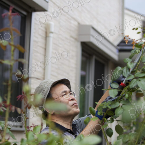 A man working in his garden. A man working in his garden.