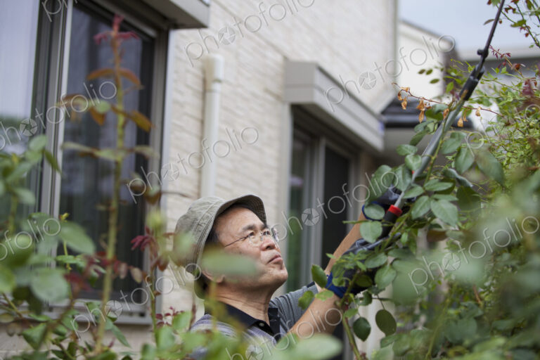 A man working in his garden.