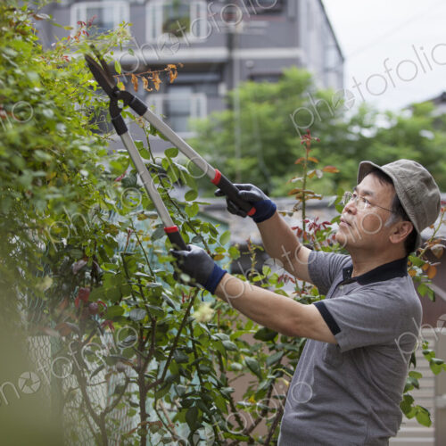 A man working in his garden. A man working in his garden.