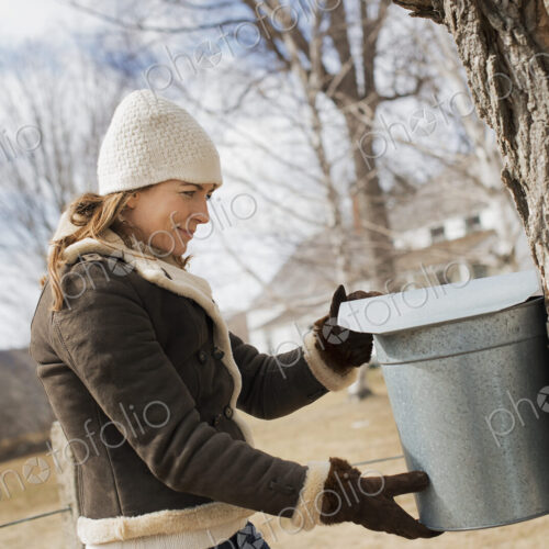A maple syrup farm. A young woman holding a bucket which is tapping the sap from the tree. A maple syrup farm. A young woman holding a bucket which is tapping the sap from the tree.