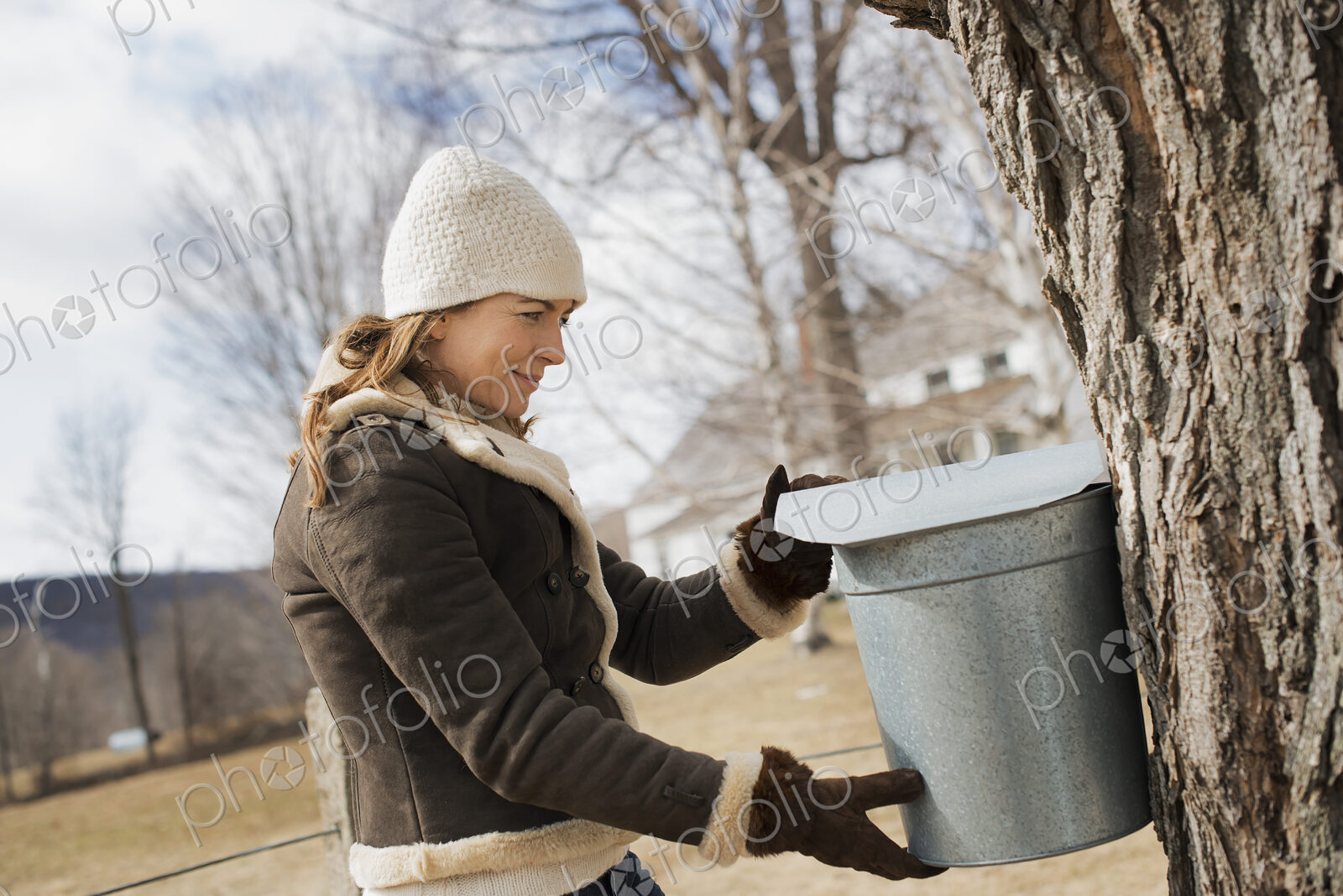A maple syrup farm. A young woman holding a bucket which is tapping the sap from the tree.