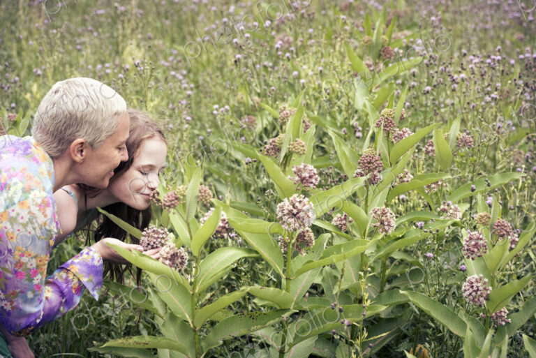 A mature woman and a young girl in a wildflower meadow looking closely at the flowers.