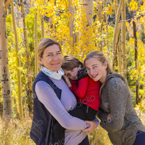 A mature woman, boy and girl, a mother and her two children in woodland, aspen trees…