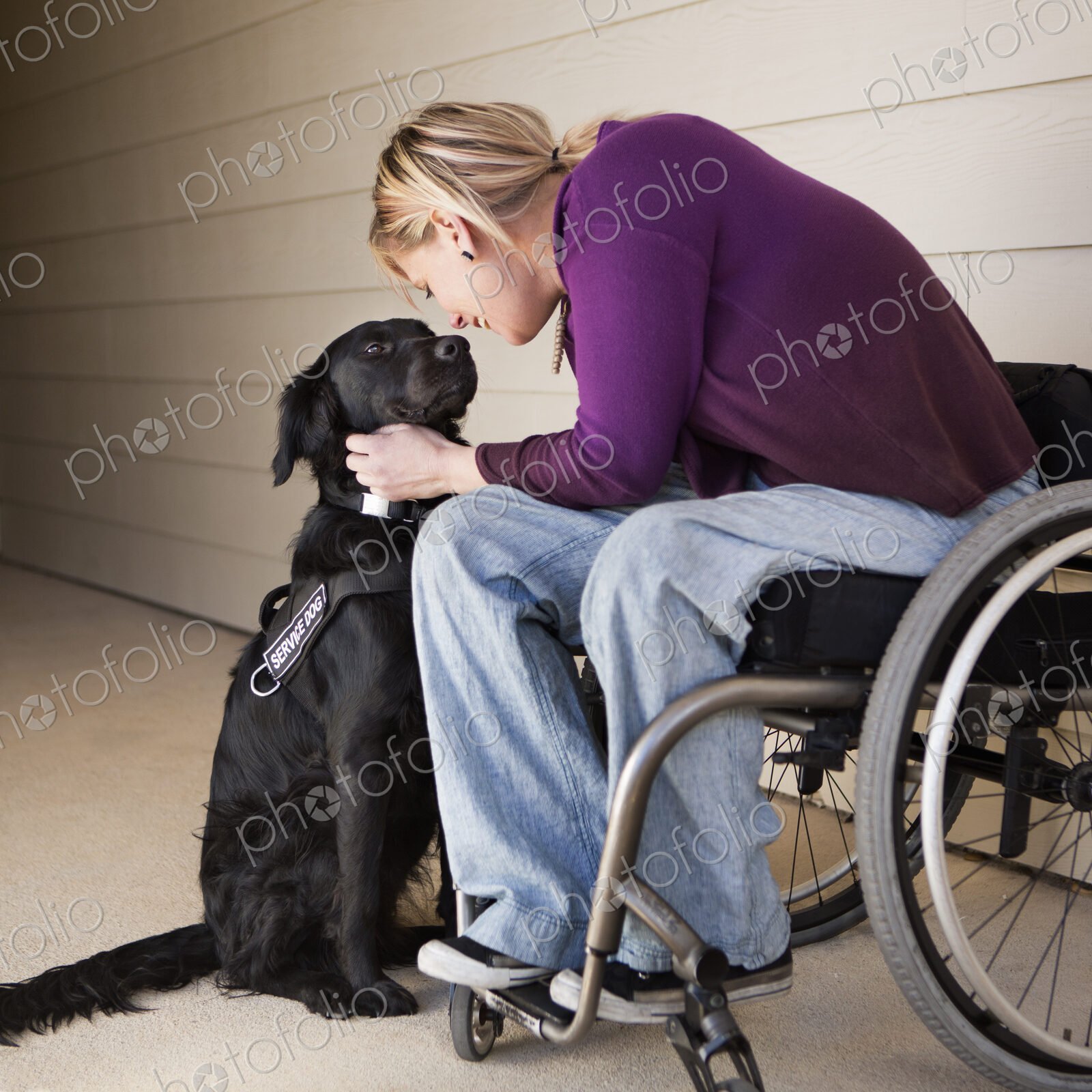 A mature woman wheelchair user stroking her black labrador service dog and making eye…