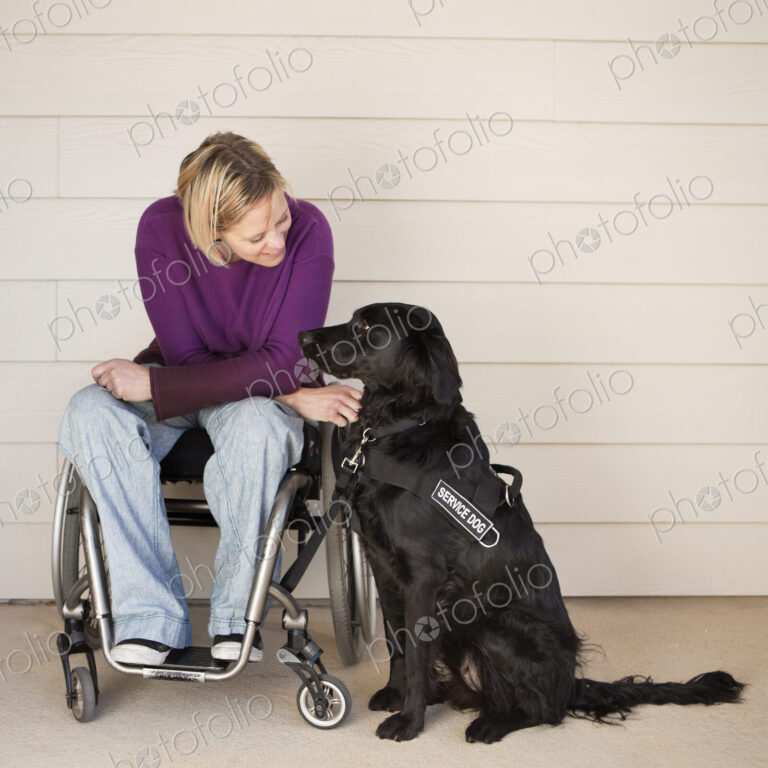 A mature woman wheelchair user stroking her black labrador service dog and making eye…