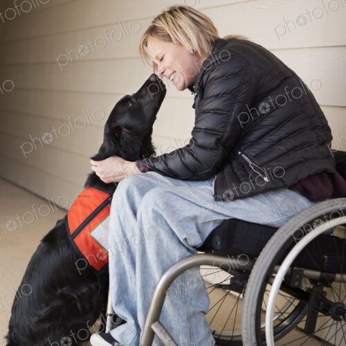 A mature woman wheelchair user with her service dog, a black labrador, leaning in…