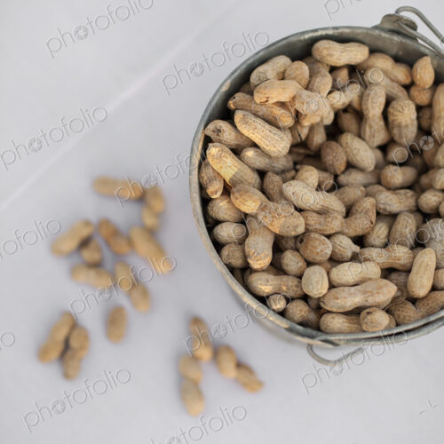 A metal container with a handle. Peanuts with their husks on. Organic nuts, Arachis… A metal container with a handle. Peanuts with their husks on. Organic nuts, Arachis…