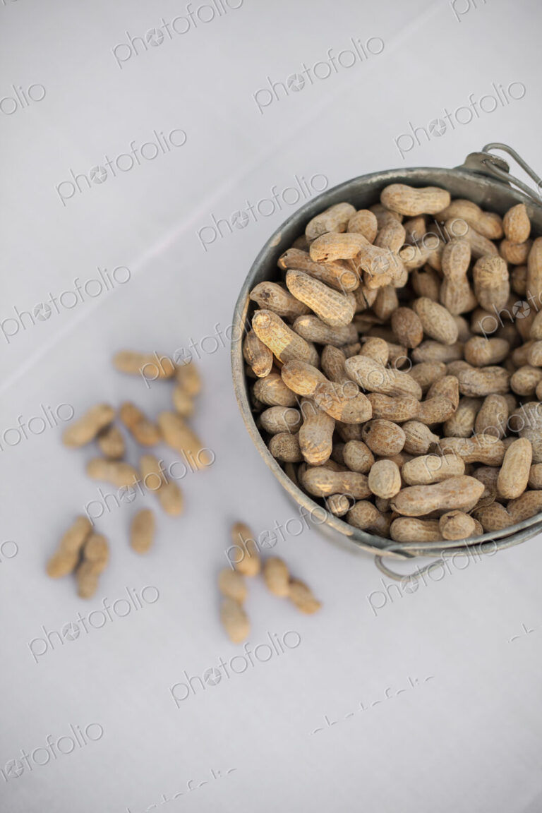 A metal container with a handle. Peanuts with their husks on. Organic nuts, Arachis…