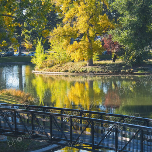 A metal footbridge over a lake in autumn, tall mature trees A metal footbridge over a lake in autumn, tall mature trees