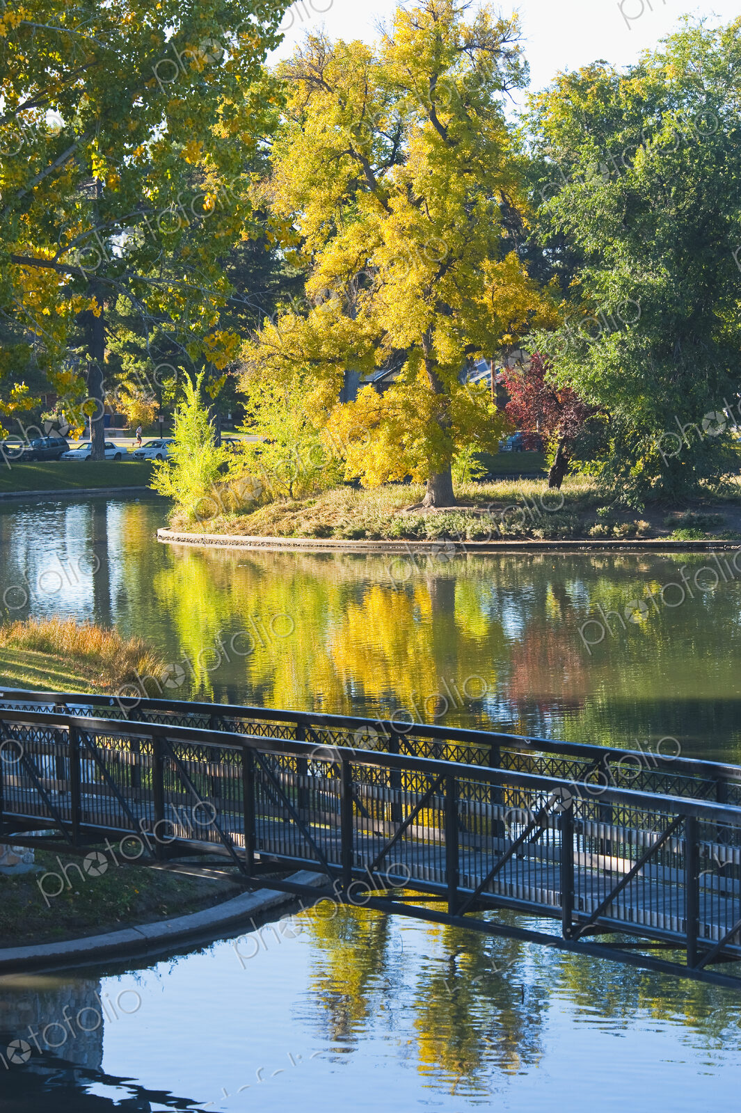 A metal footbridge over a lake in autumn, tall mature trees