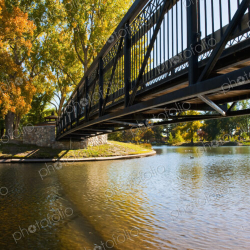 A metal footbridge over a lake in autumn, tall mature trees with vivid yellow foliage A metal footbridge over a lake in autumn, tall mature trees with vivid yellow foliage