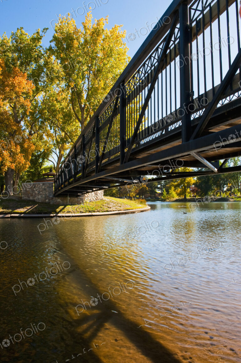 A metal footbridge over a lake in autumn, tall mature trees with vivid yellow foliage