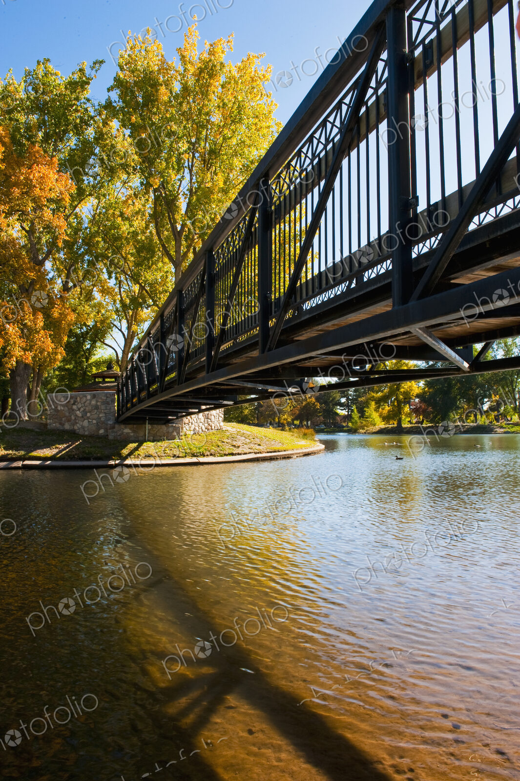 A metal footbridge over a lake in autumn, tall mature trees with vivid yellow foliage