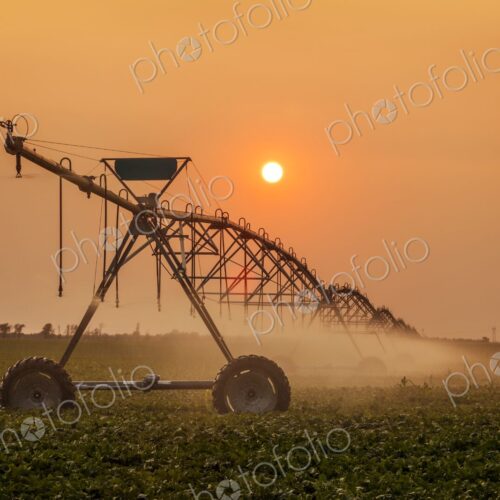 A modern center-pivot irrigation system waters a crop under a hazy orange sunset, mist… A modern center-pivot irrigation system waters a crop under a hazy orange sunset, mist…