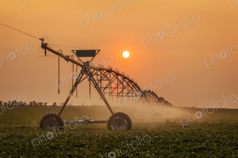 A modern center-pivot irrigation system waters a crop under a hazy orange sunset, mist…