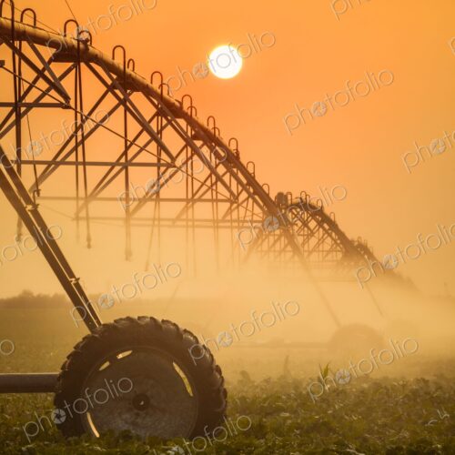 A modern center-pivot irrigation system waters a crop under a hazy orange sunset, mist…