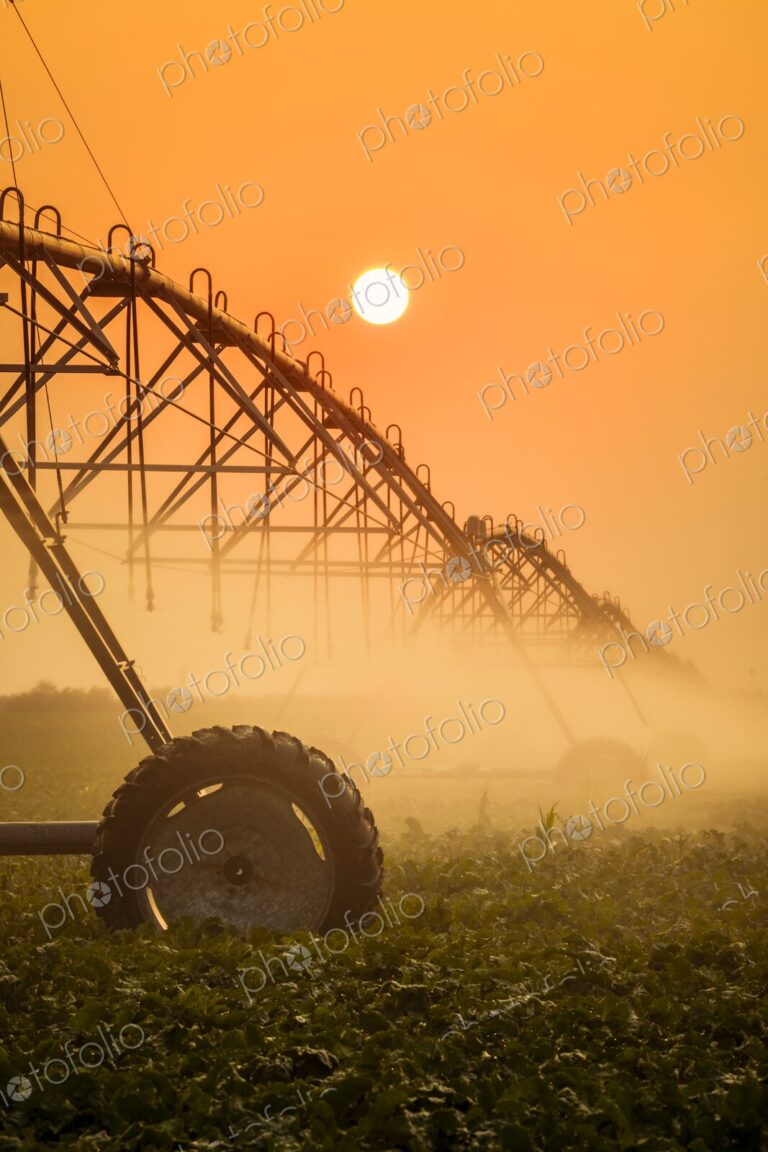 A modern center-pivot irrigation system waters a crop under a hazy orange sunset, mist…