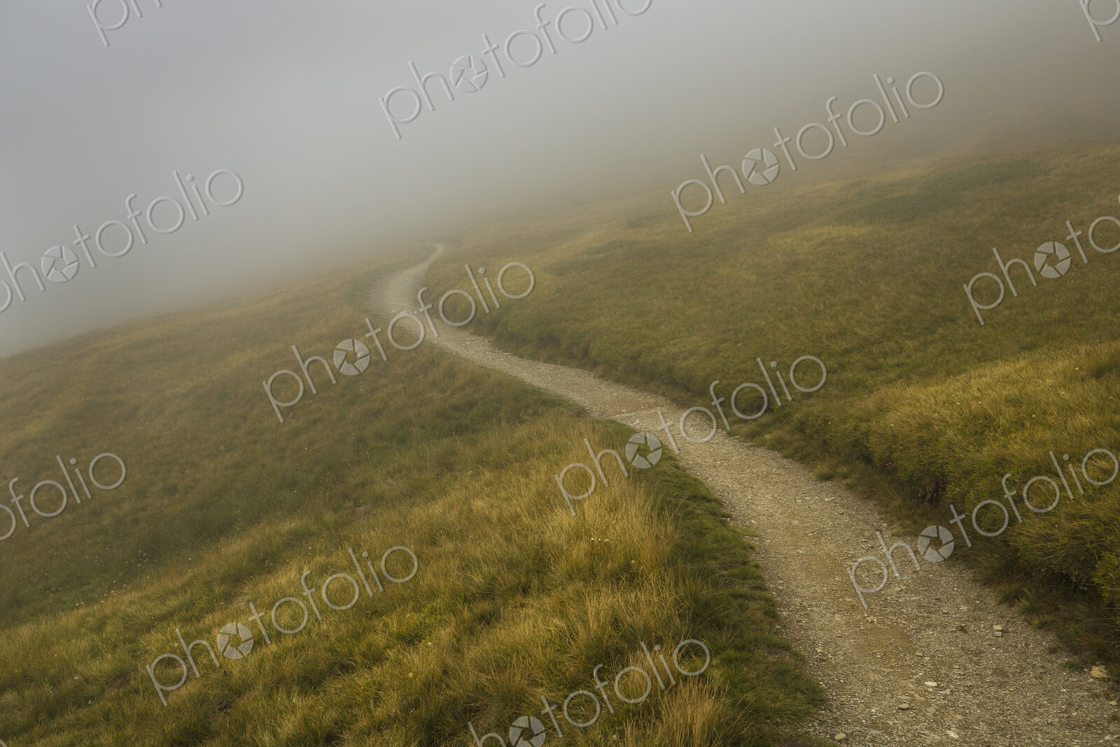 A mountain path, reaching ahead, through low cloud and mist in the Alps near Trient…