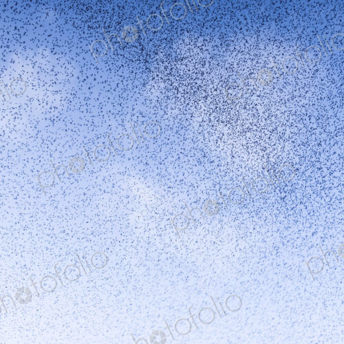 A murmuration of starlings, a spectacular aerobatic display of a large number of birds… A murmuration of starlings, a spectacular aerobatic display of a large number of birds…