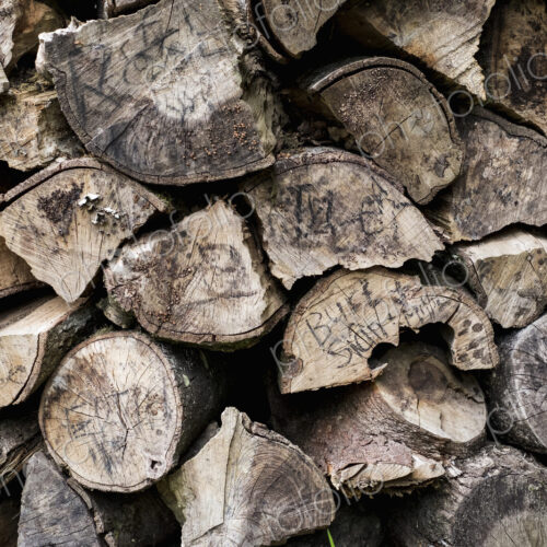 A neatly stacked pile of logs, a firewood log store.