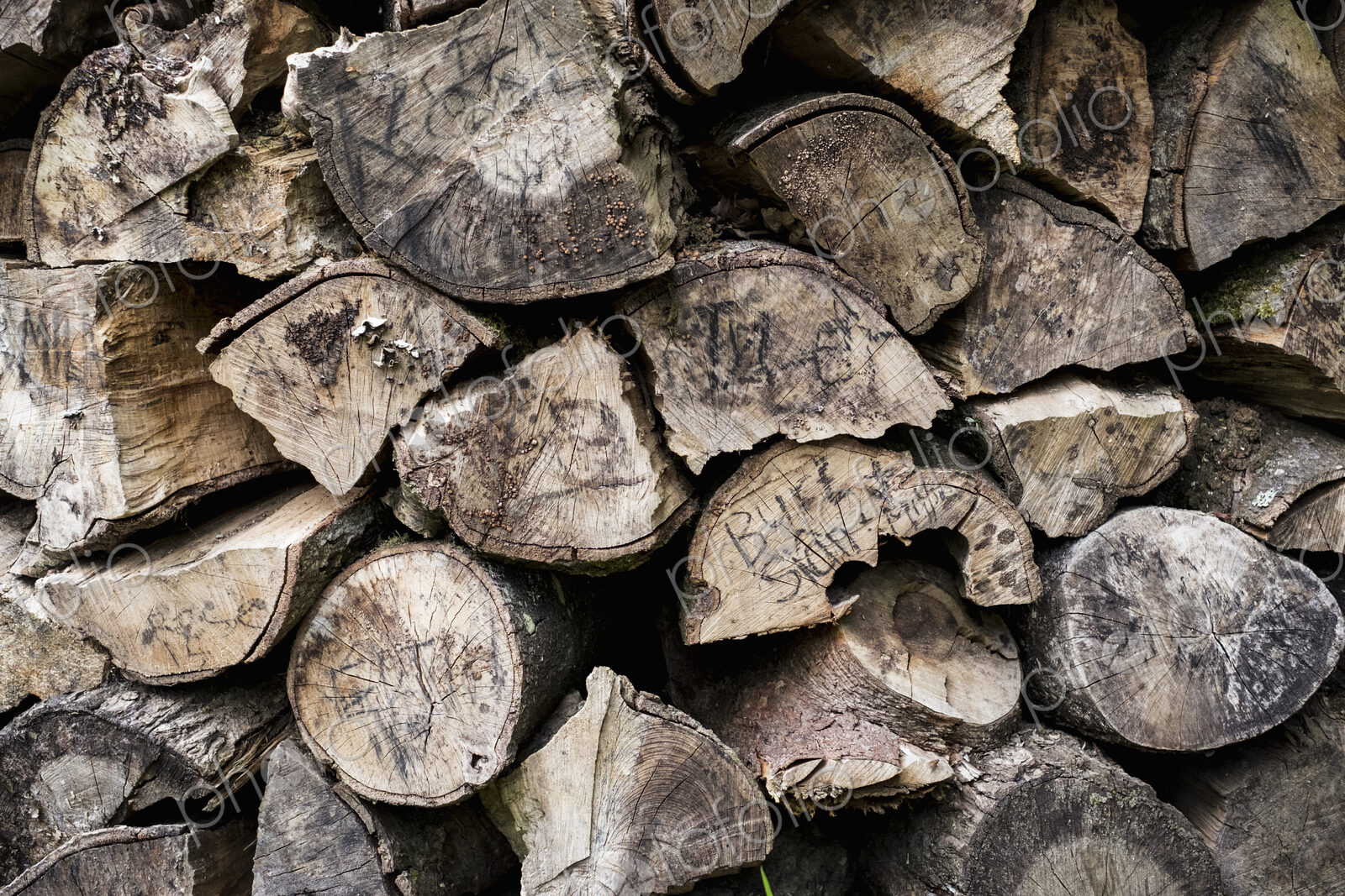 A neatly stacked pile of logs, a firewood log store.