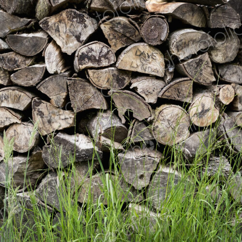 A neatly stacked pile of logs, a firewood log store.