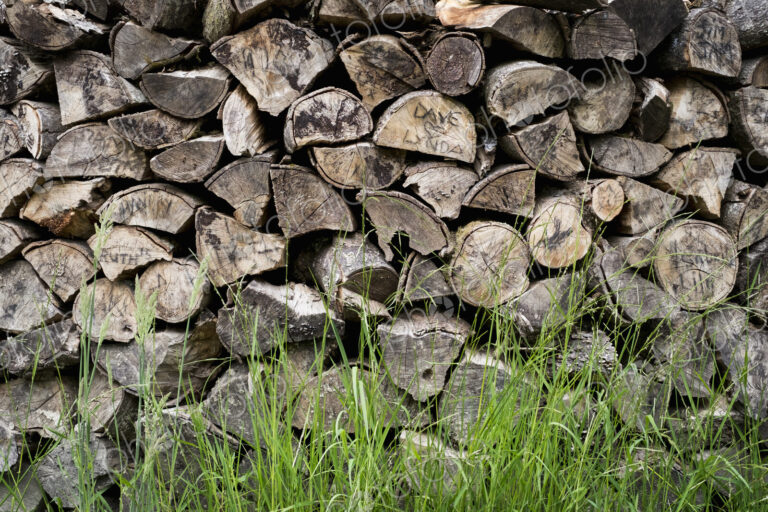 A neatly stacked pile of logs, a firewood log store.