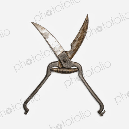 A pair of poultry shears, cooking scissors with side metal blades. A pair of poultry shears, cooking scissors with side metal blades.
