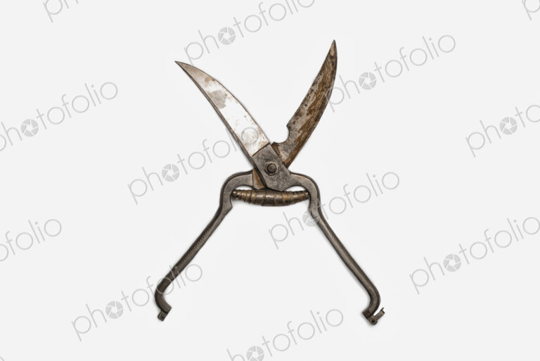 A pair of poultry shears, cooking scissors with side metal blades.