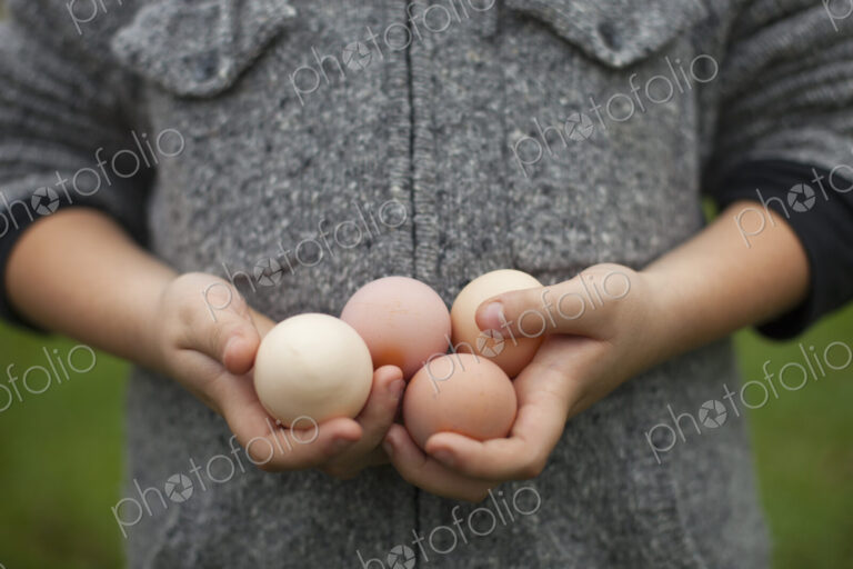 A person holding a clutch of fresh organic hen's eggs.