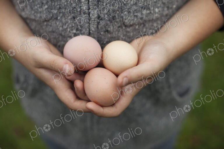 A person holding a clutch of fresh organic hen's eggs.